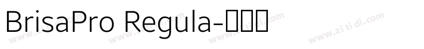 BrisaPro Regula字体转换